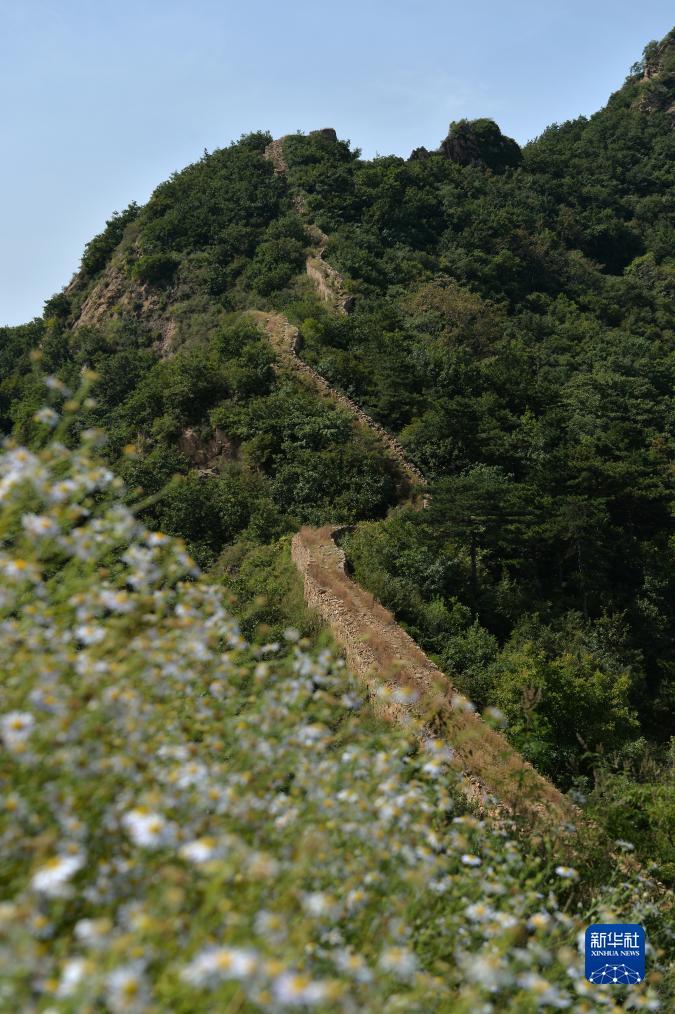 和记网址备用